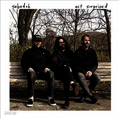 Sebadoh - Act Surprised (LP)