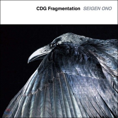 Seigen Ono (̰ ) - CDG Fragmentation