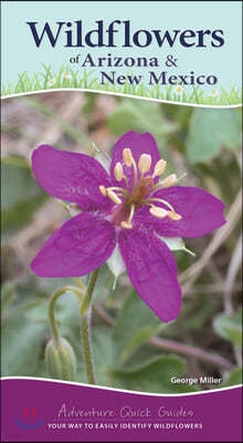 Wildflowers of Arizona & New Mexico: Your Way to Easily Identify Wildflowers