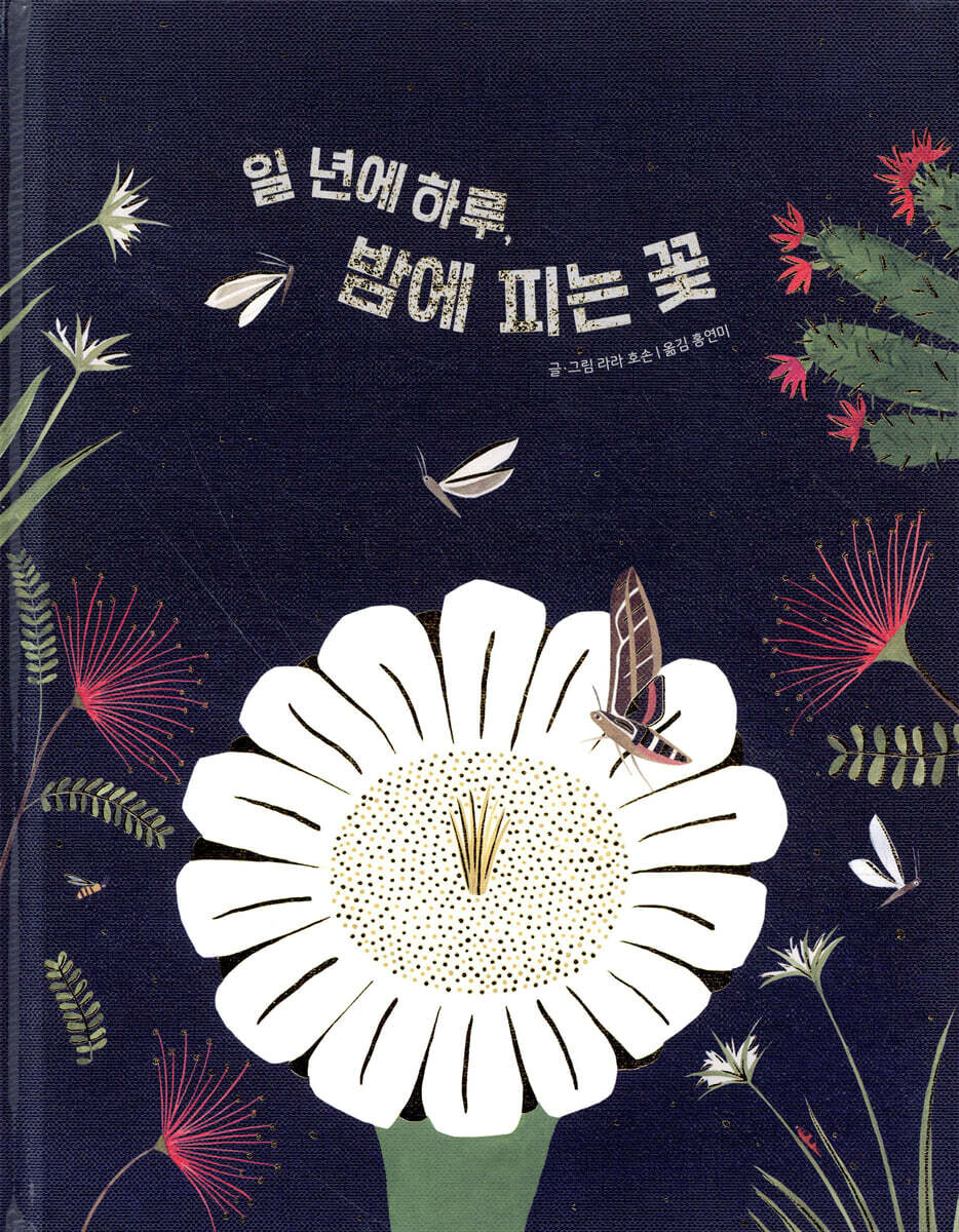 일 년에 하루, 밤에 피는 꽃