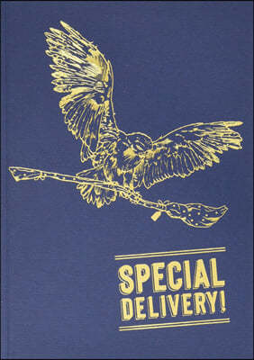 Harry Potter: Hedwig Pop-Up Card