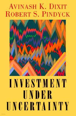 Investment under Uncertainty