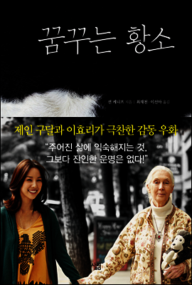 꿈꾸는 황소