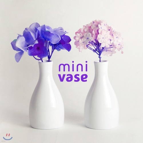 ̴ϲɺ(mini vase)