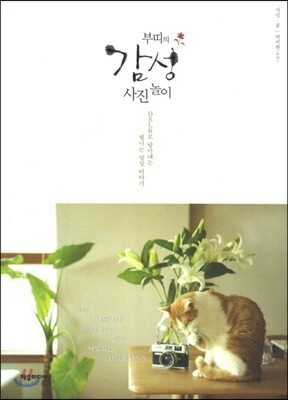 부띠의 감성 사진 놀이