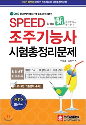 2013 Speed  ɻ 