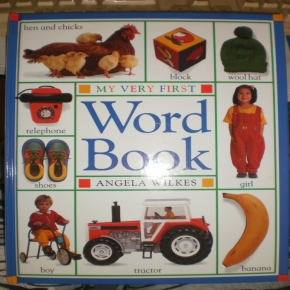 MY VERY FIRST Word Book 