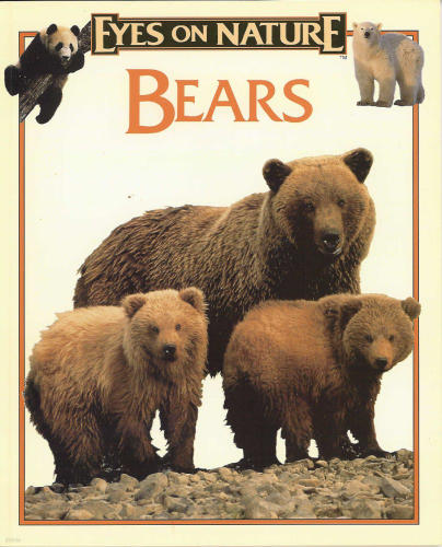 Bears (Eyes on Nature) [Paperback]