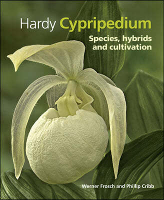 Hardy Cypripedium