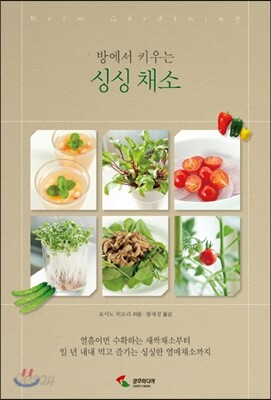 방에서 키우는 싱싱 채소