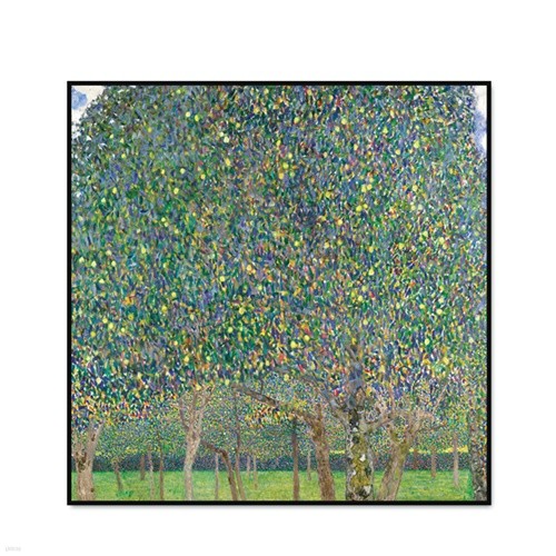 [The Bella] ŬƮ - 質 The Pear Tree