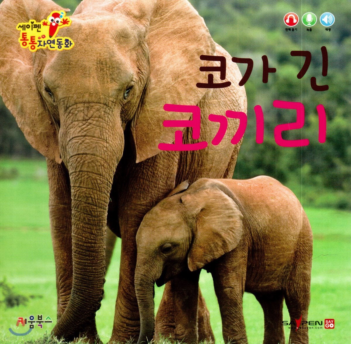 코가 긴 코끼리