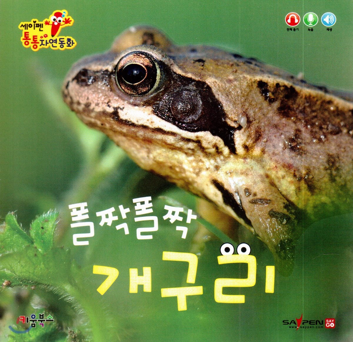 폴짝폴짝 개구리