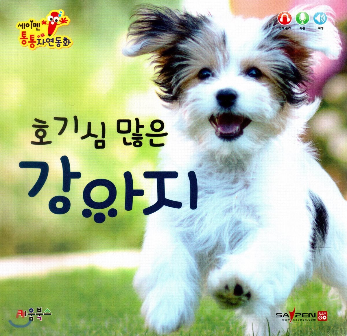 호기심 많은 강아지