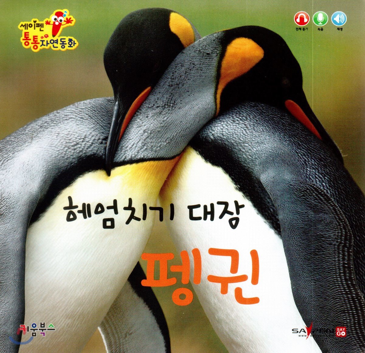 헤엄치기 대장 펭귄
