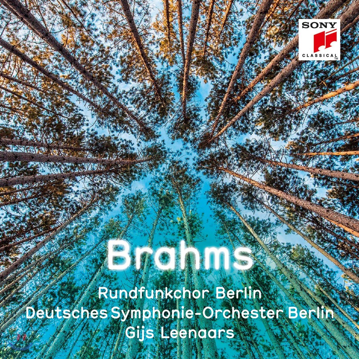 Gijs Leenaars 브람스: 합창 작품집 (Brahms: Choral Works)