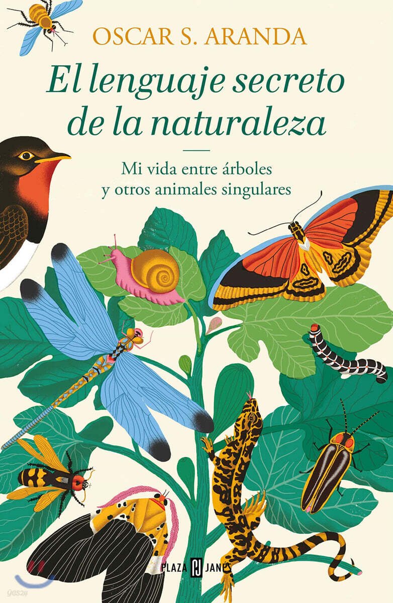 El Lenguaje Secreto de la Naturaleza / The Secret Language of Nature