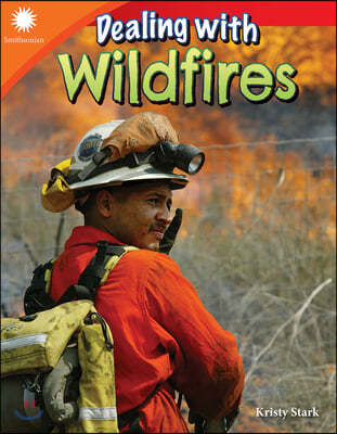 Dealing with Wildfires