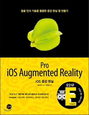 iOS   Pro iOS Augmented Reality