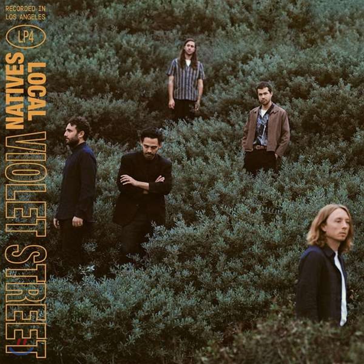 Local Natives (로컬 네이티브스) - Violet Street