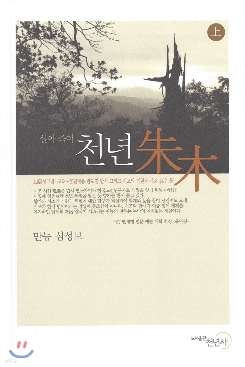천년 주목 上