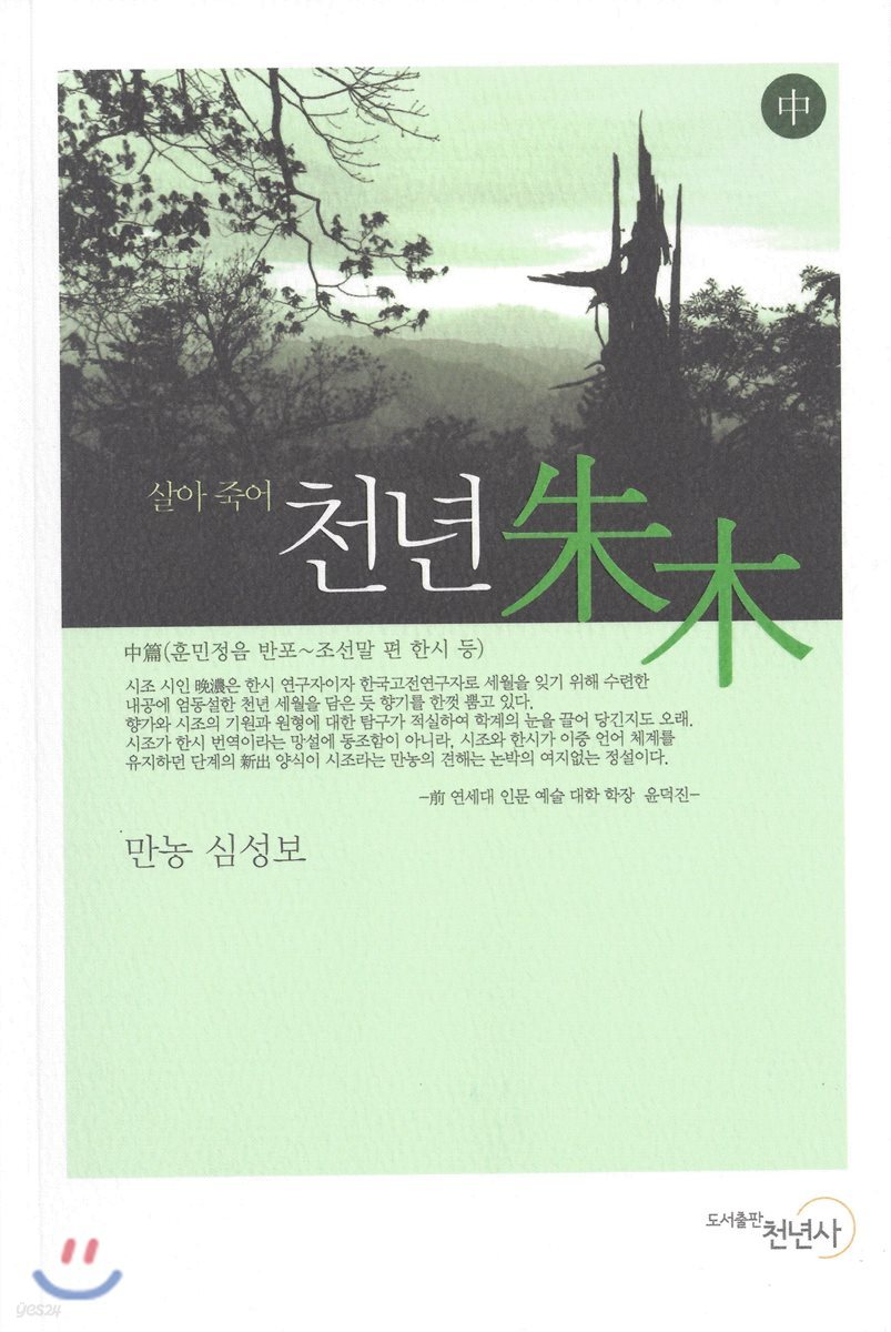 천년 주목 中