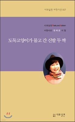 도둑고양이가 물고 간 신발 두 짝