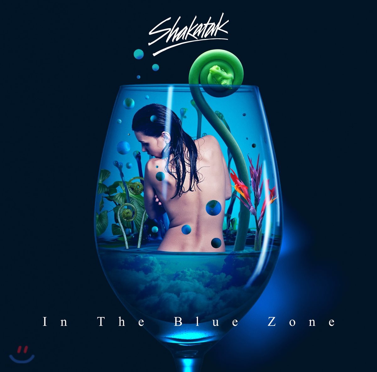 Shakatak (샤카탁) - In The Blue Zone
