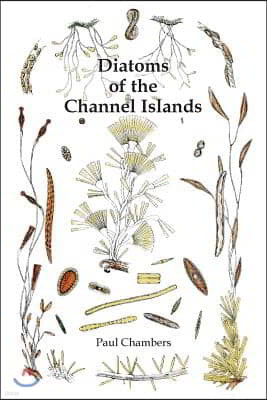 Diatoms of the Channel Islands