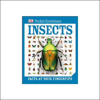 DK Pocket Eyewitness Insects