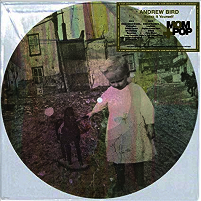 Andrew Bird — Break It Yourself (Picture Disc) 앨범 커버