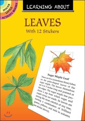 Learning about Leaves: With 12 Stickers