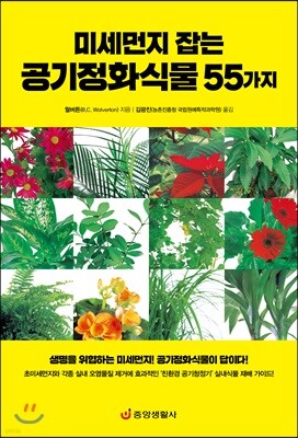 미세먼지 잡는 공기정화식물 55가지