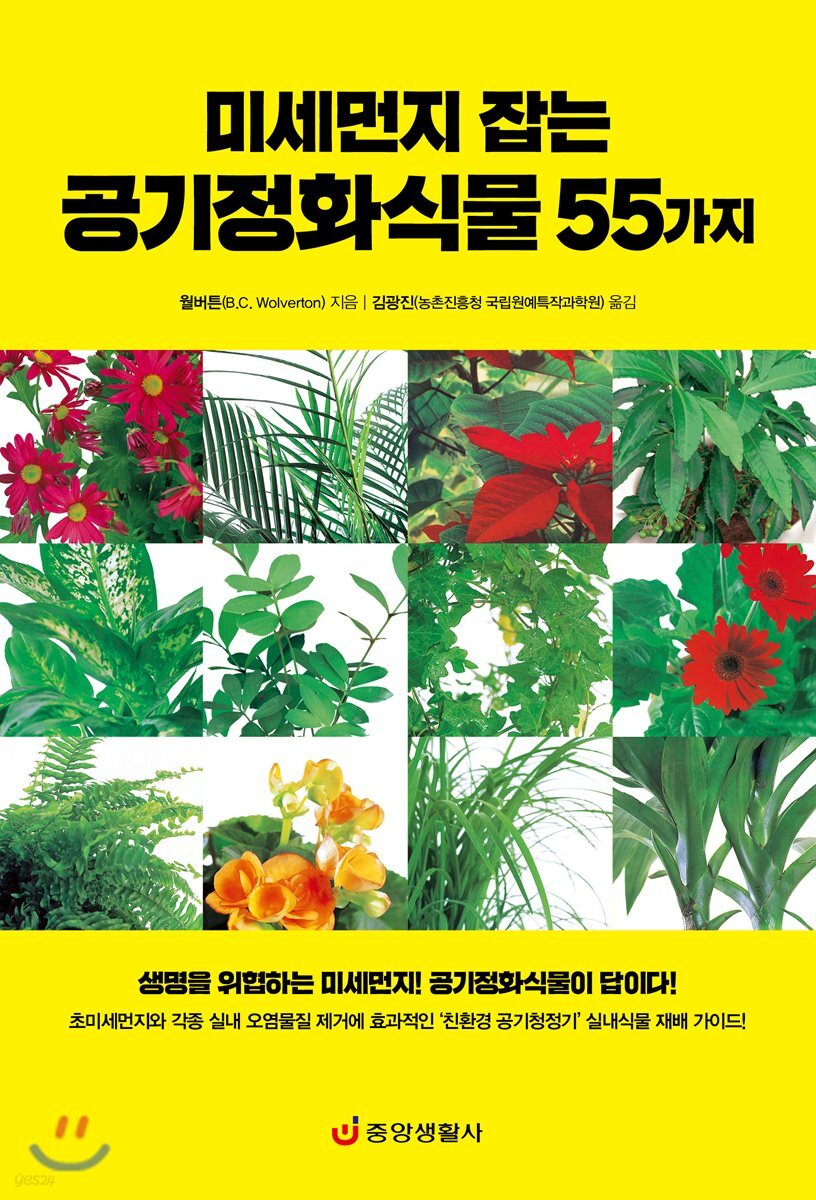 미세먼지 잡는 공기정화식물 55가지
