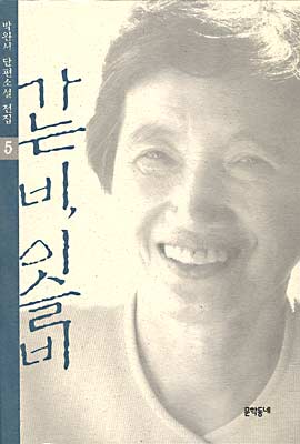 가는 비, 이슬비