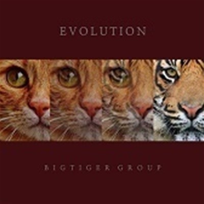 Ÿ̰ ׷ (Bigtiger Group) / Evolution