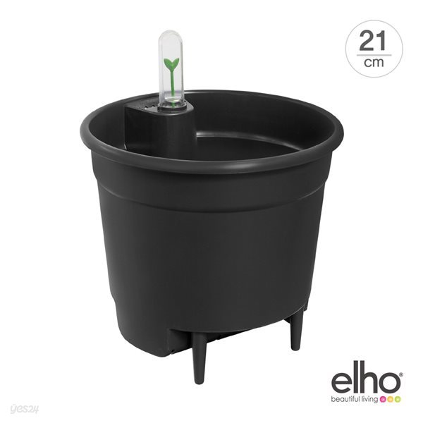 [엘호 elho] 셀프 워터링 인서트 화분(21cm)