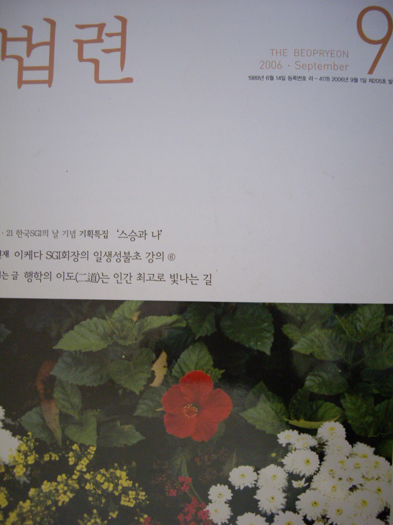 법련 2006년 9월호