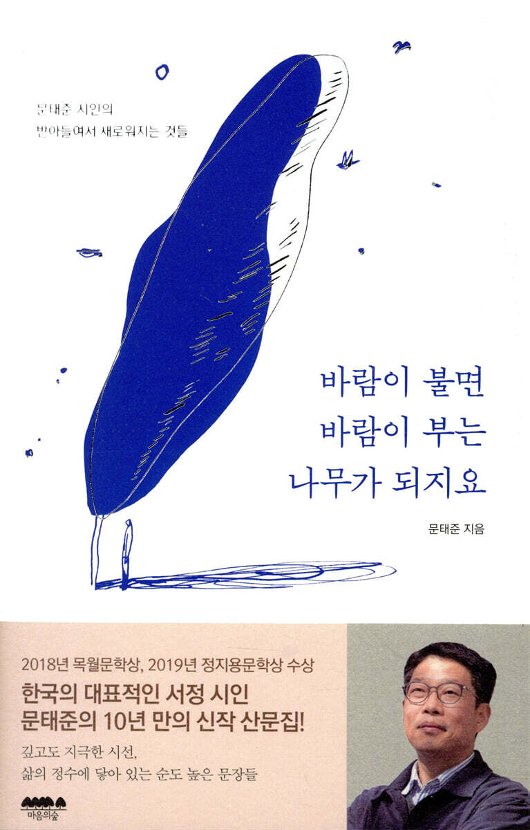 바람이 불면 바람이 부는 나무가 되지요
