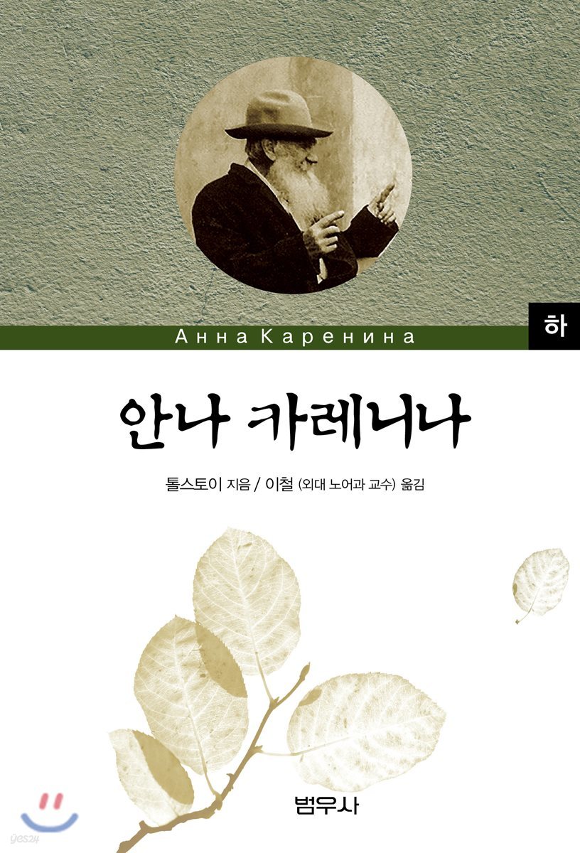안나카레니나 (하)