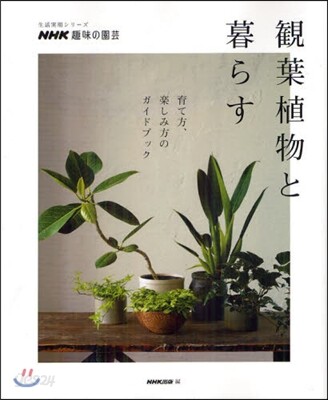 觀葉植物と暮らす
