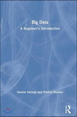 Big Data: A Beginner's Introduction