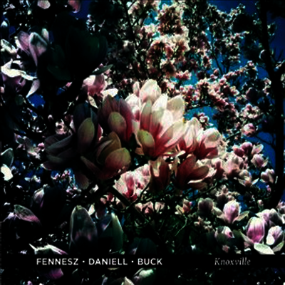 Fennesz,Deniell,Buck — Knoxville 앨범 커버