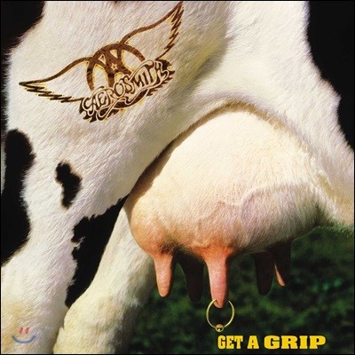 Aerosmith (ν̽) - Get A Grip [ȭƮ ÷ 2LP]