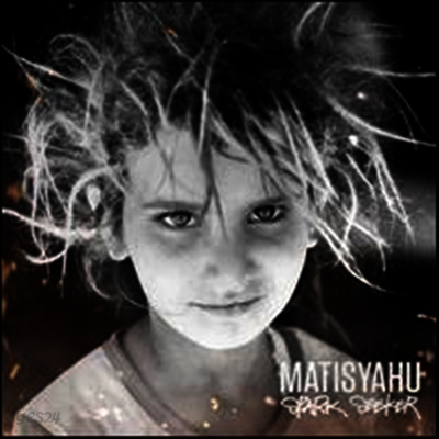 Matisyahu - Spark Seeker (Download Card)(LP)