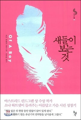 새들이 보는 것