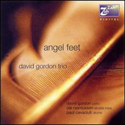 David Gordon Trio - Angel Feet (CD)