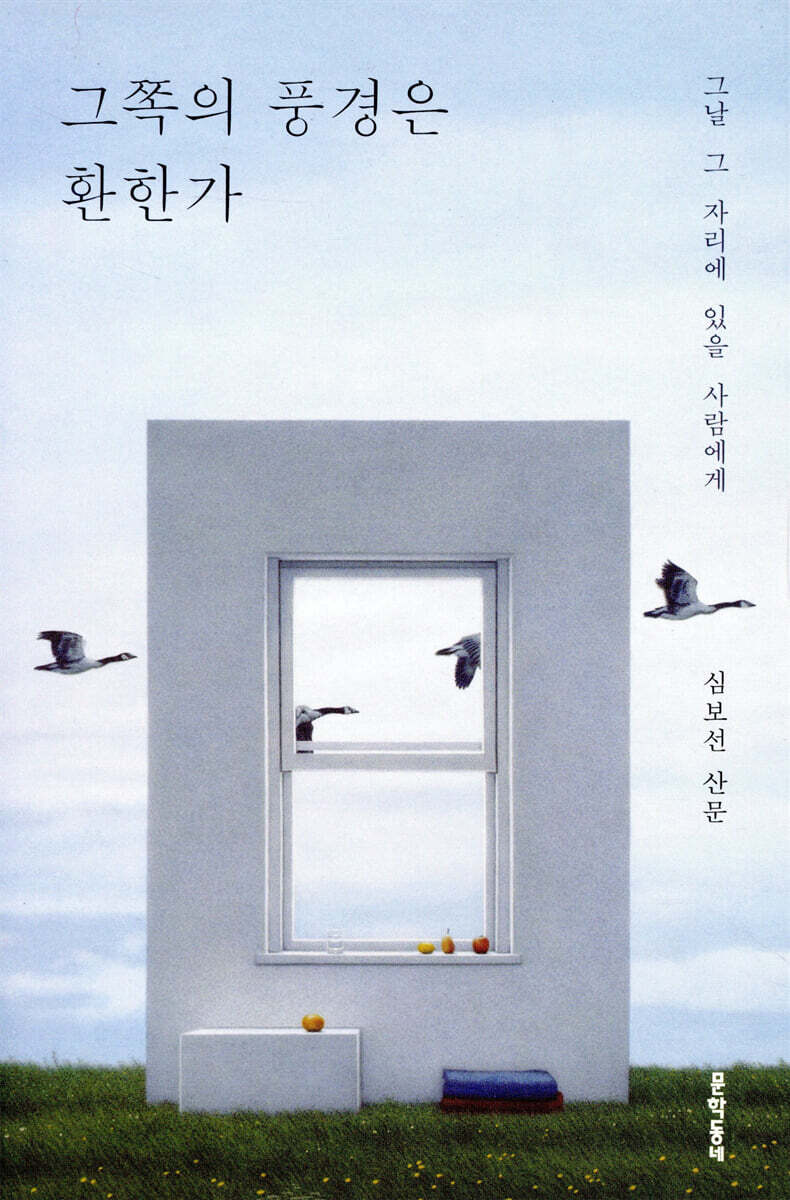 그쪽의 풍경은 환한가