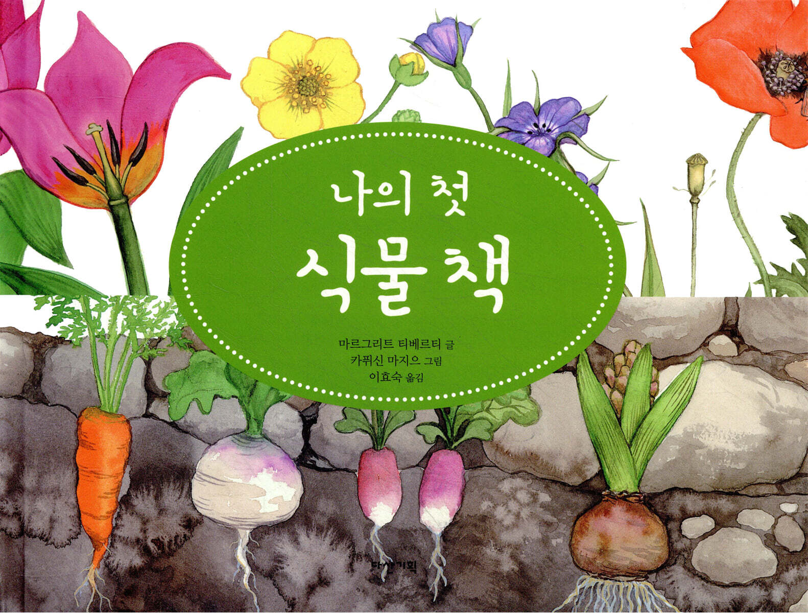 나의 첫 식물 책