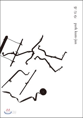 박금준 park kum-jun